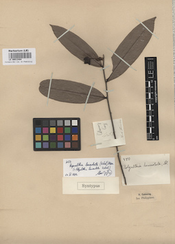 LE 00012484