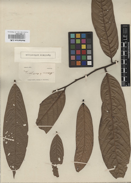 LE 00012494