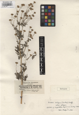 LE 00017987
