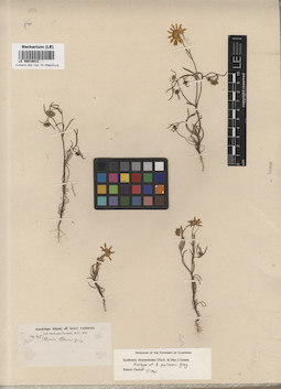 LE 00018012