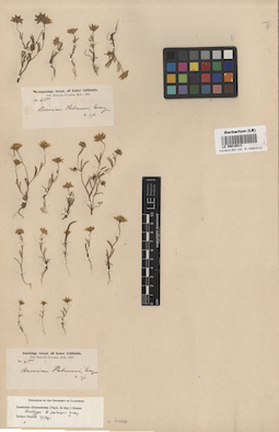 LE 00018013