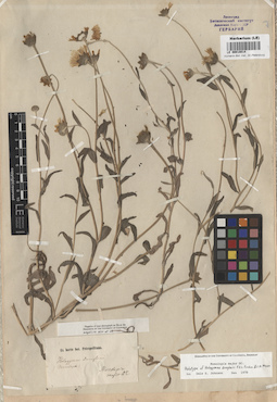 LE 00018014