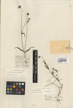 LE 00018015