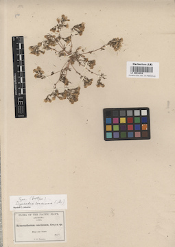 LE 00018018