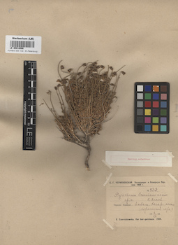 LE 00018066