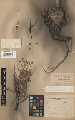 LE 00018067