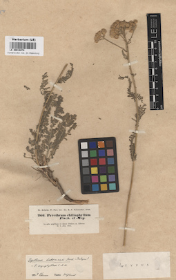 LE 00018074