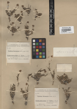 LE 00018087
