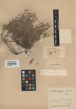 LE 00018088
