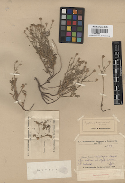LE 00018089