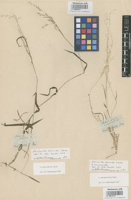 LE 00018173