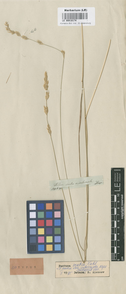 LE 00018174