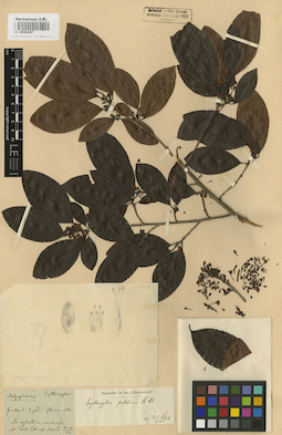 LE 00002607