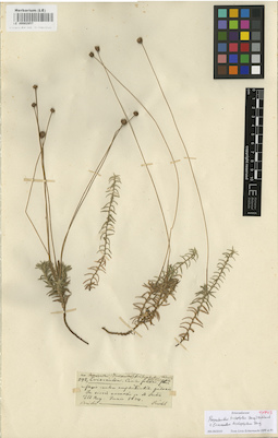 LE 00002857