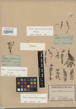 LE 00003801