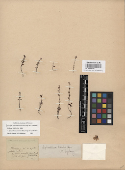 LE 00004193