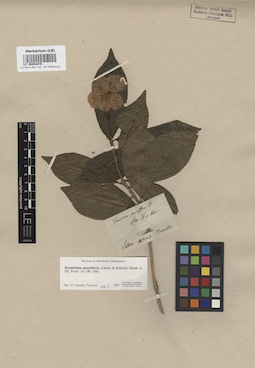 LE 00004870