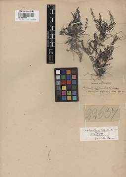 LE 00008550