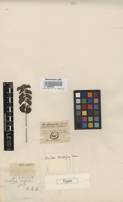LE 00008588