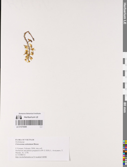 LE 01076989