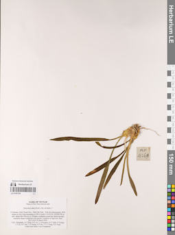 LE 01067200
