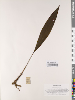 LE 01076170