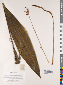 LE 01076172