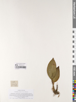 LE 01076177