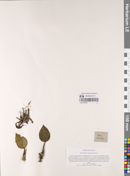 LE 01076189