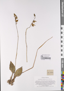 LE 01076190
