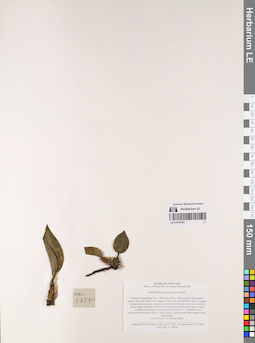 LE 01076193