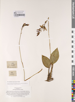 LE 01076194