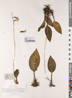 LE 01076197