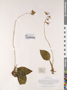 LE 01076198