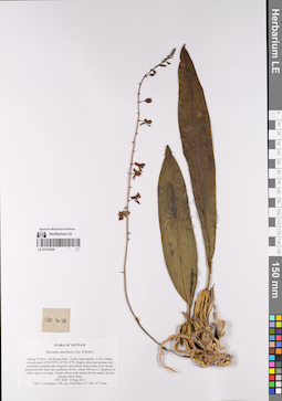 LE 01076204