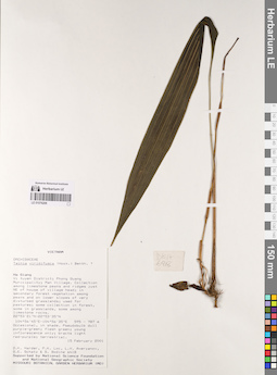LE 01076206