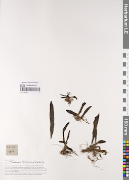 LE 01076231