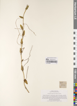 LE 01076293