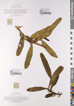 LE 01076287