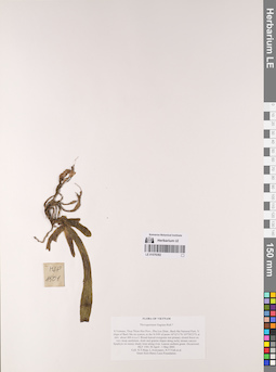 LE 01076382