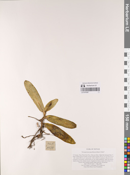 LE 01076387