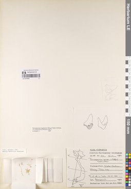 LE 01076402