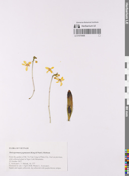 LE 01076406