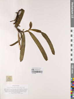 LE 01076408