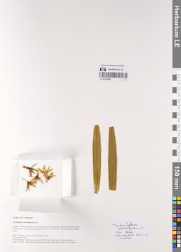 LE 01076480