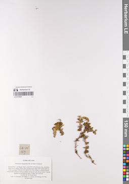 LE 01076509