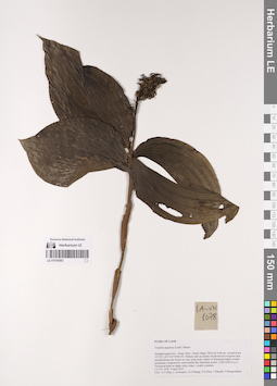 LE 01076583