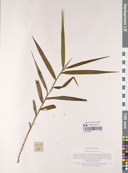 LE 01076662
