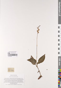 LE 01076795
