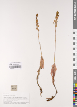 LE 01076797
